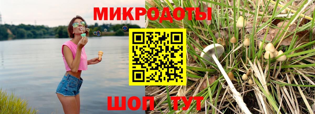 Галлюциногенные грибы Psilocybine cubensis Лосино-Петровский