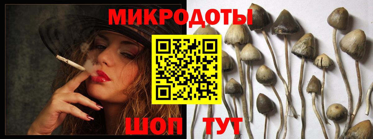 Галлюциногенные грибы Cubensis  Галлюциногенные грибы Cubensis  где можно купить   Вход с VPN  Лосино-Петровский 